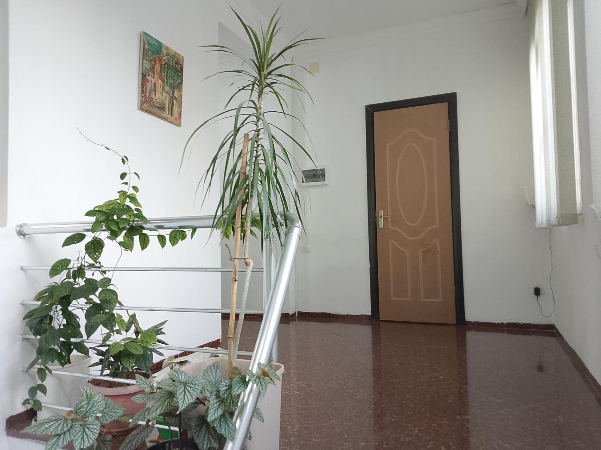 Jesis Batumi Hostel Buitenkant foto